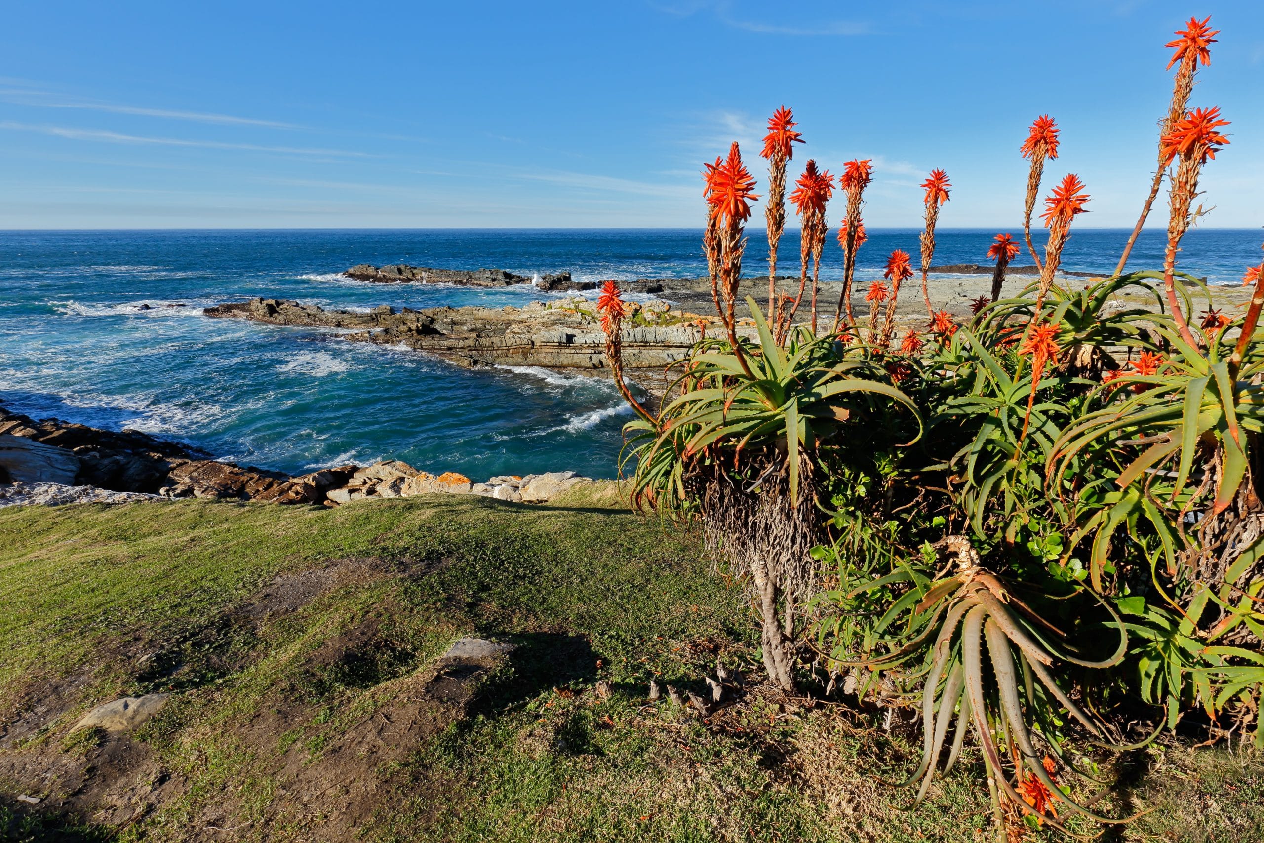 roadtrip südafrika garden route