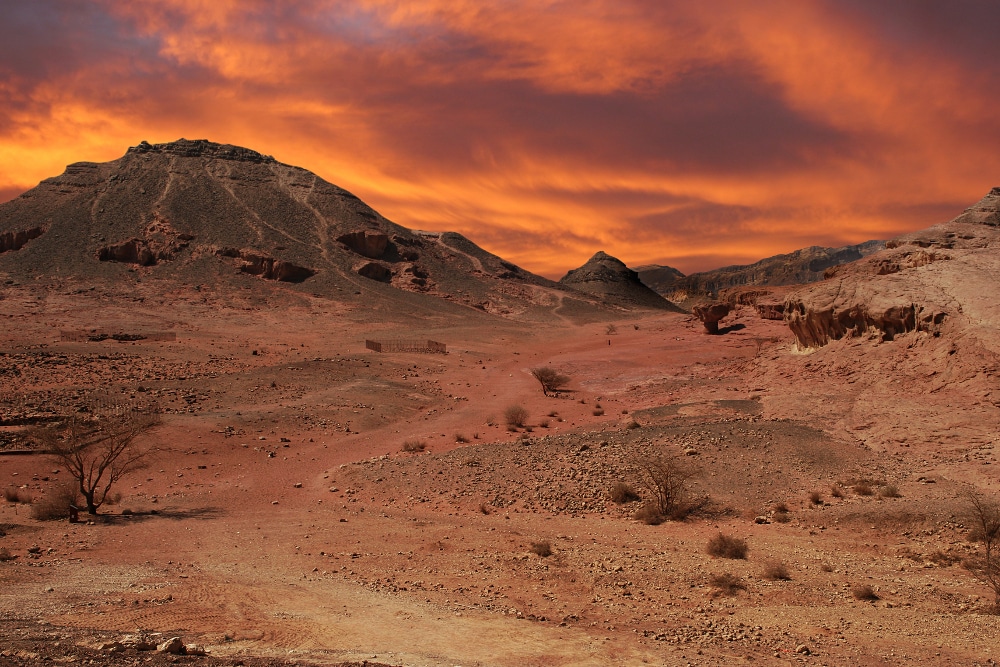 arava wüste israel