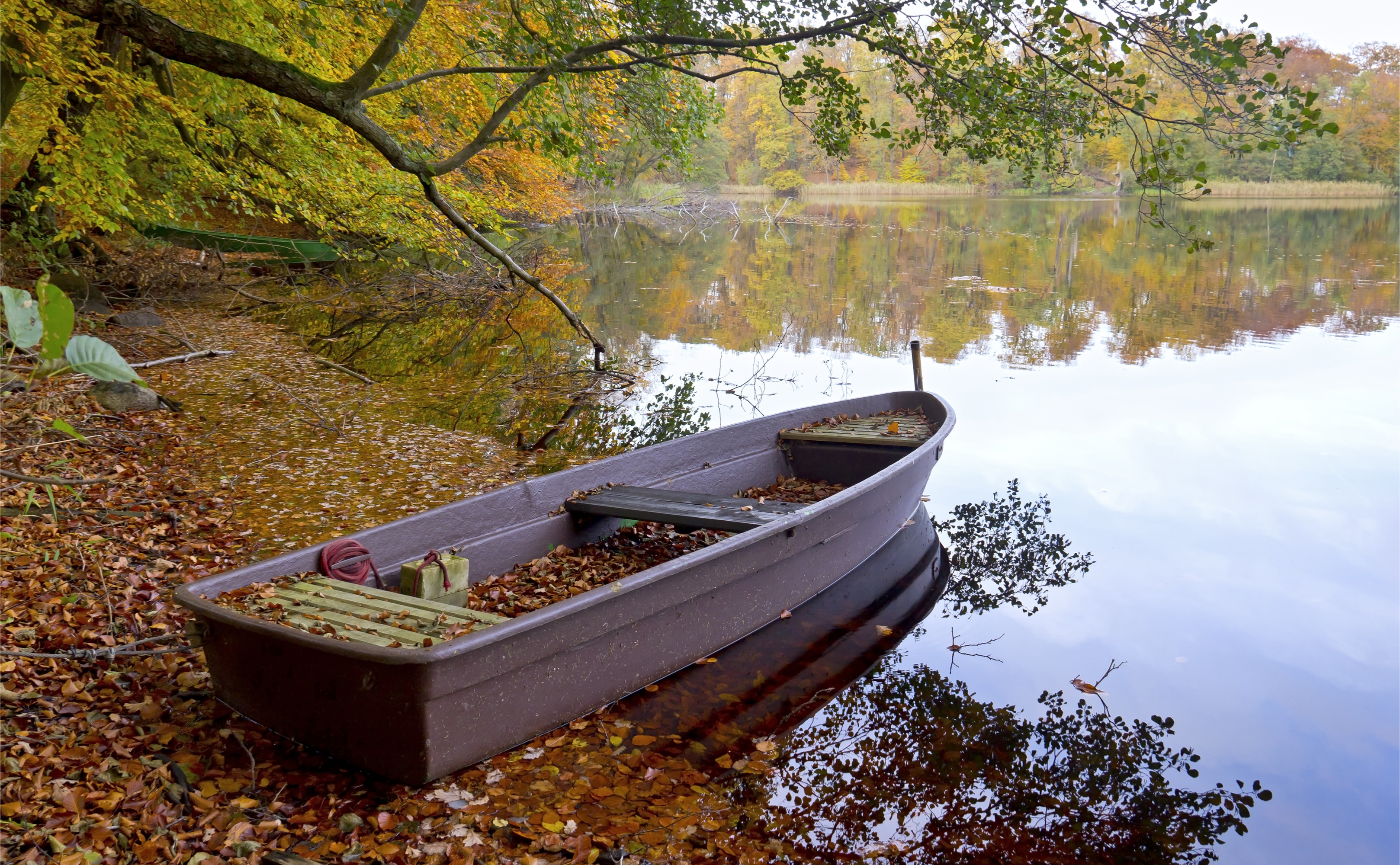 Herbstliches Seeufer in Brandenburg 