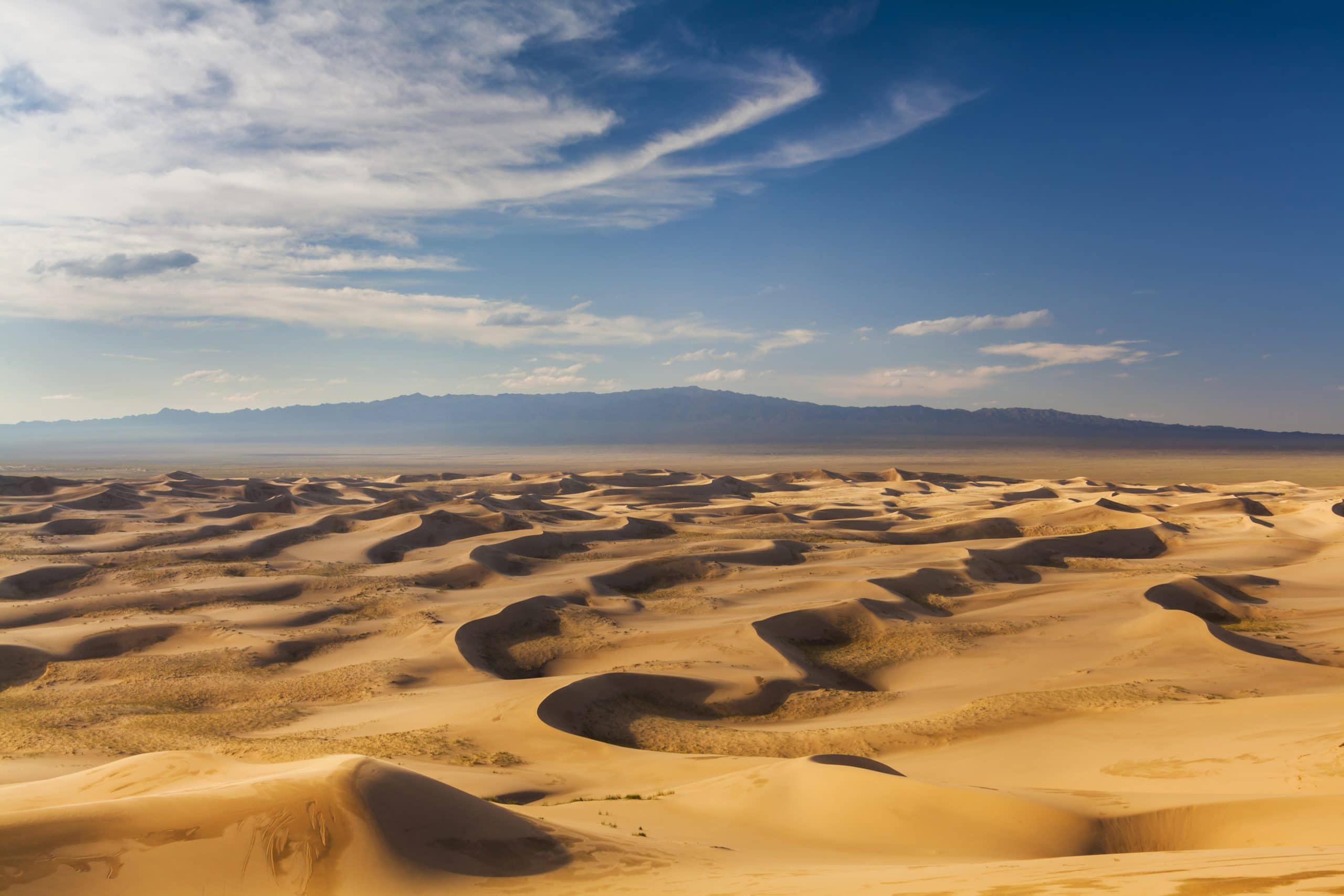 roadtrips mongolei asien gobi