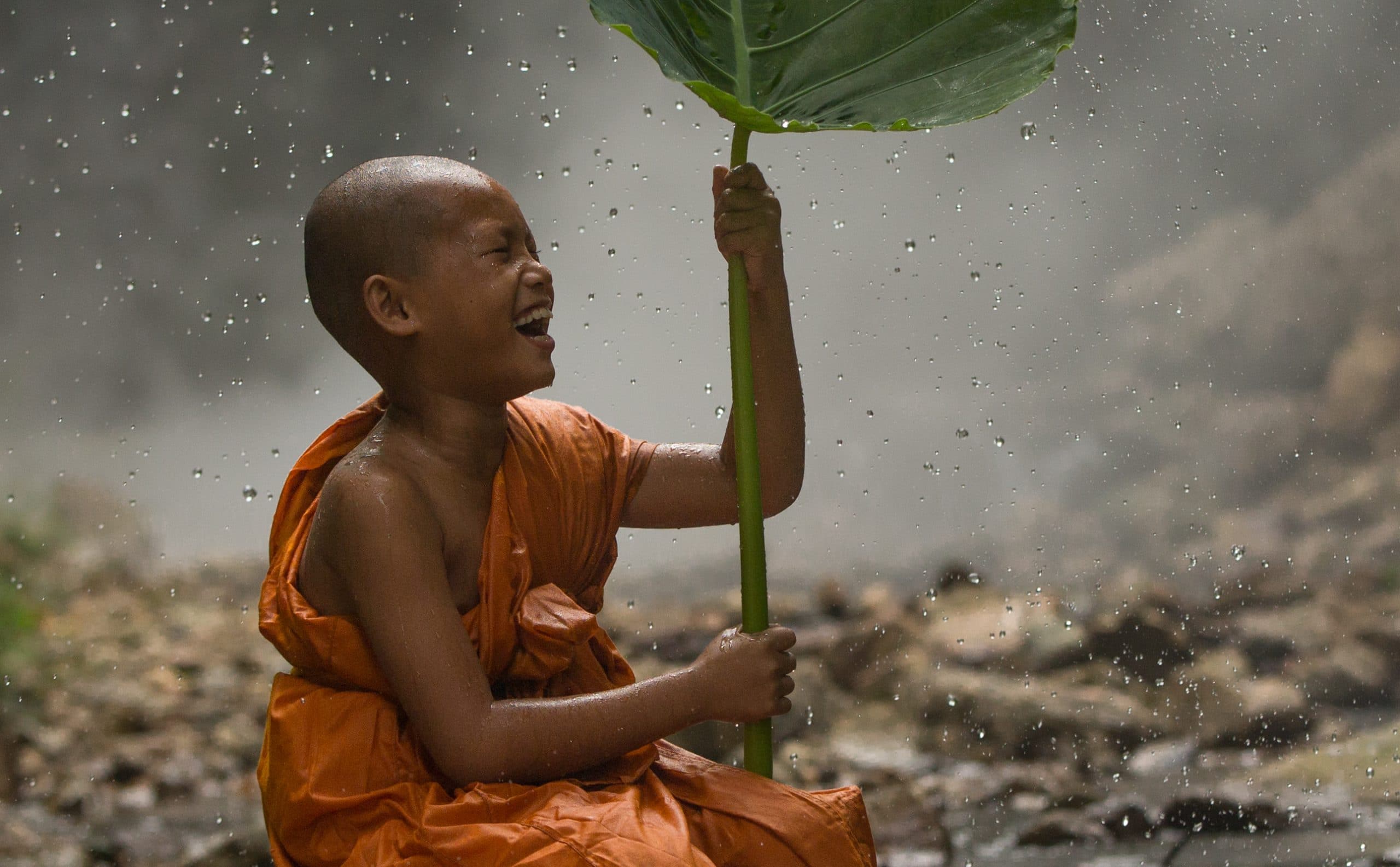 novize mönche myanmar