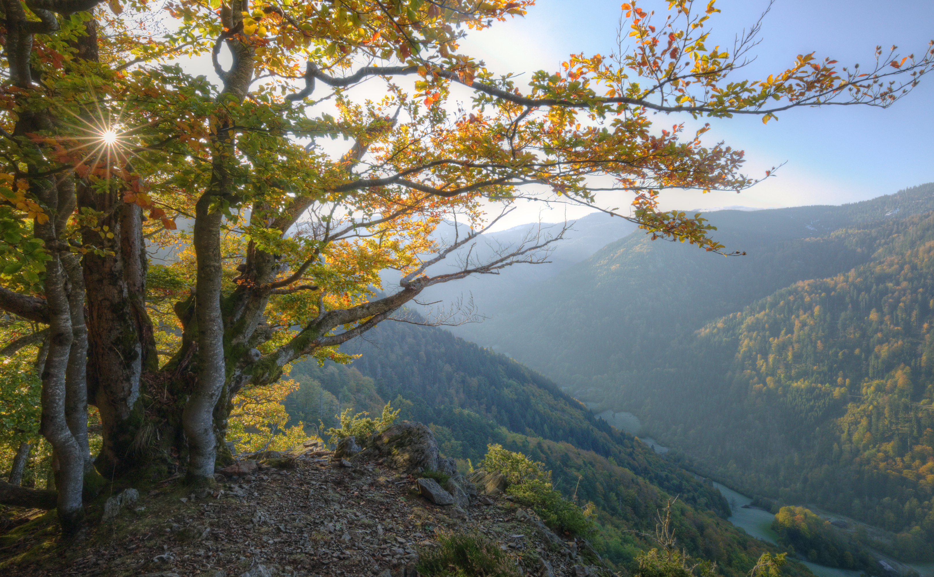 Schluchtensteig/Schwarzwald im Herbst