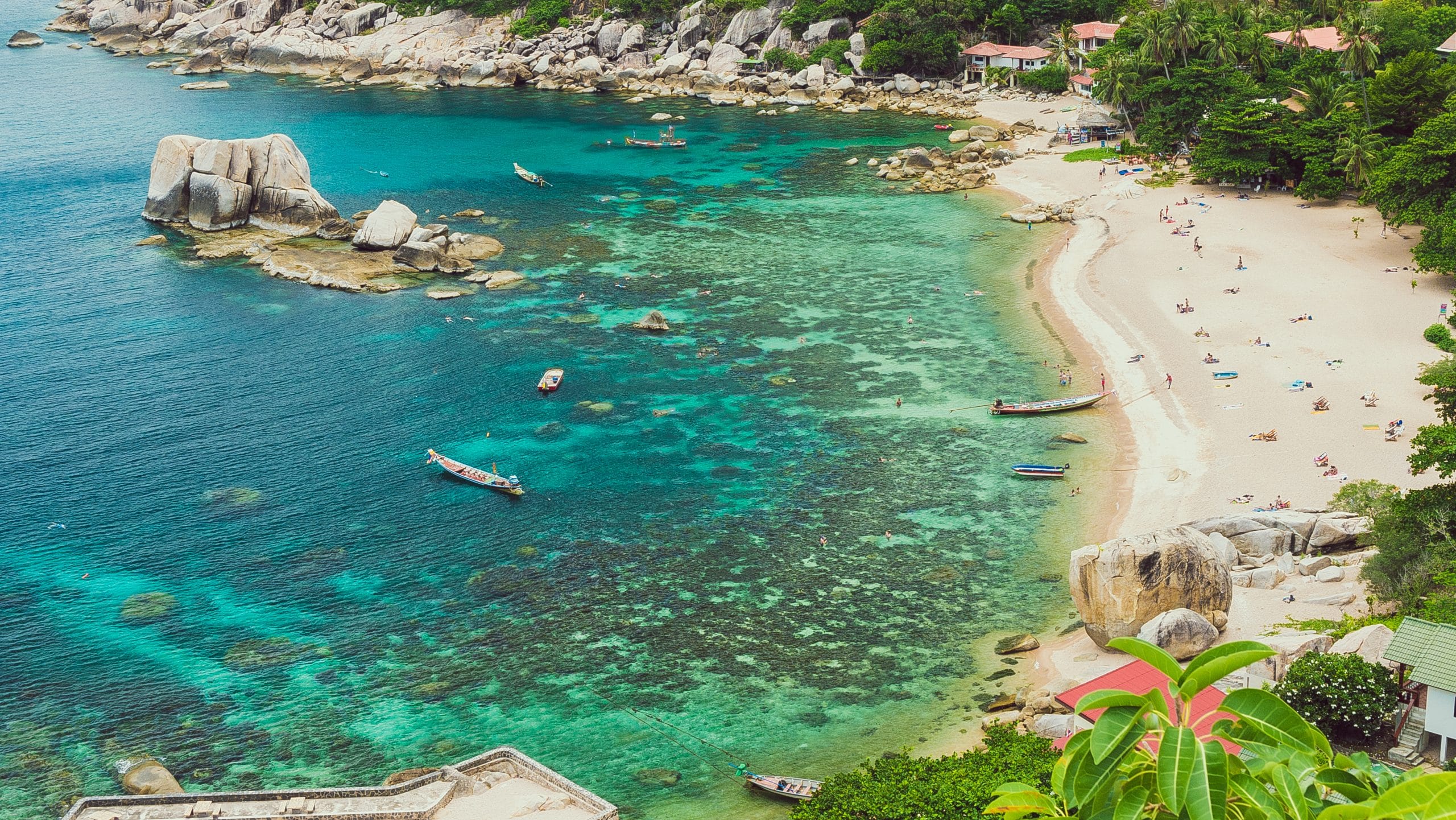 tanot bay koh tao korallenriff thailand