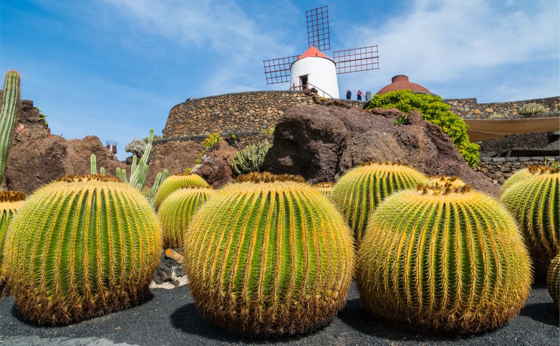 Kaktusgarten von César Manrique auf Lanzarote