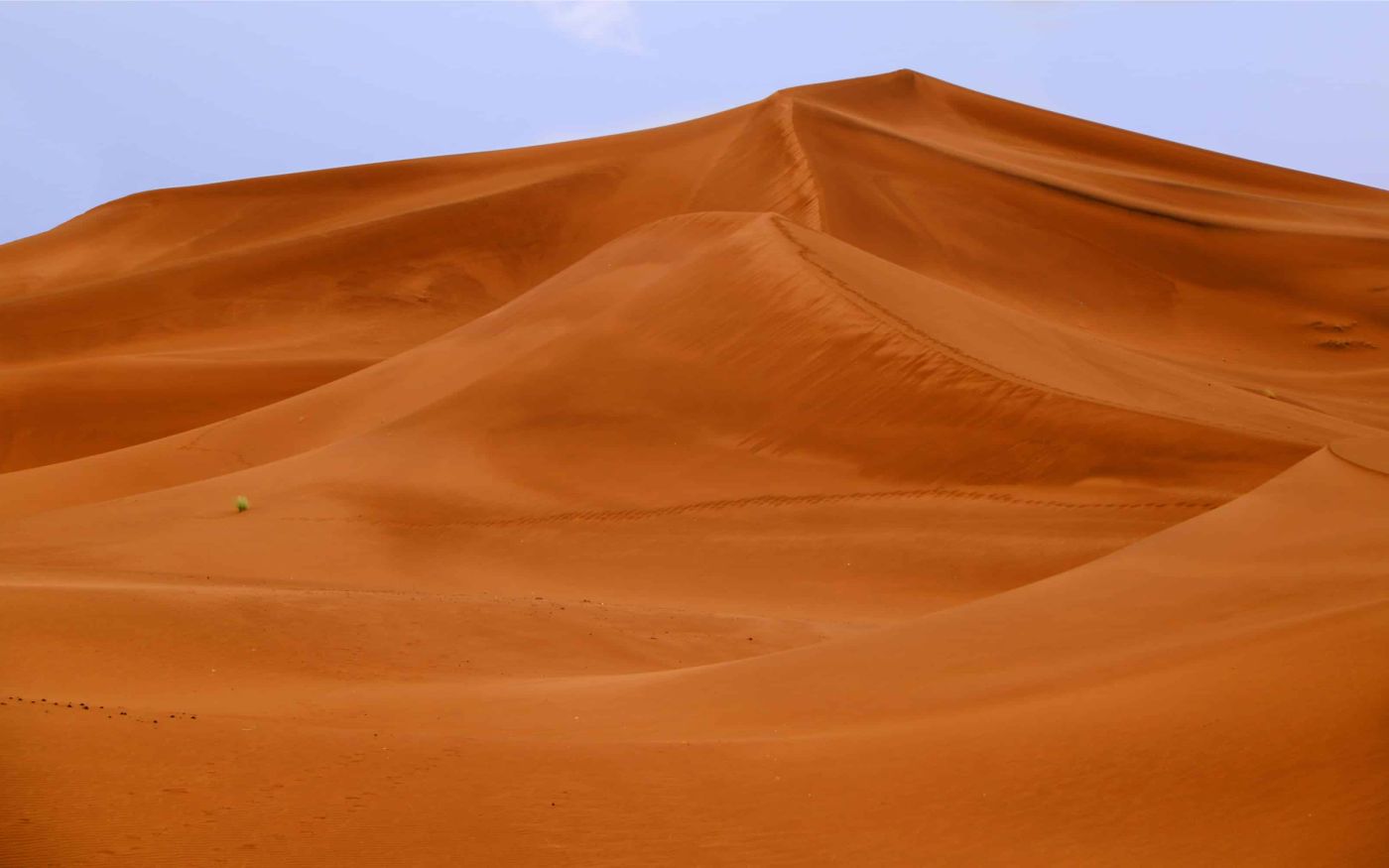 Sanddünen der Sahara nach einem der seltenen Regenfälle