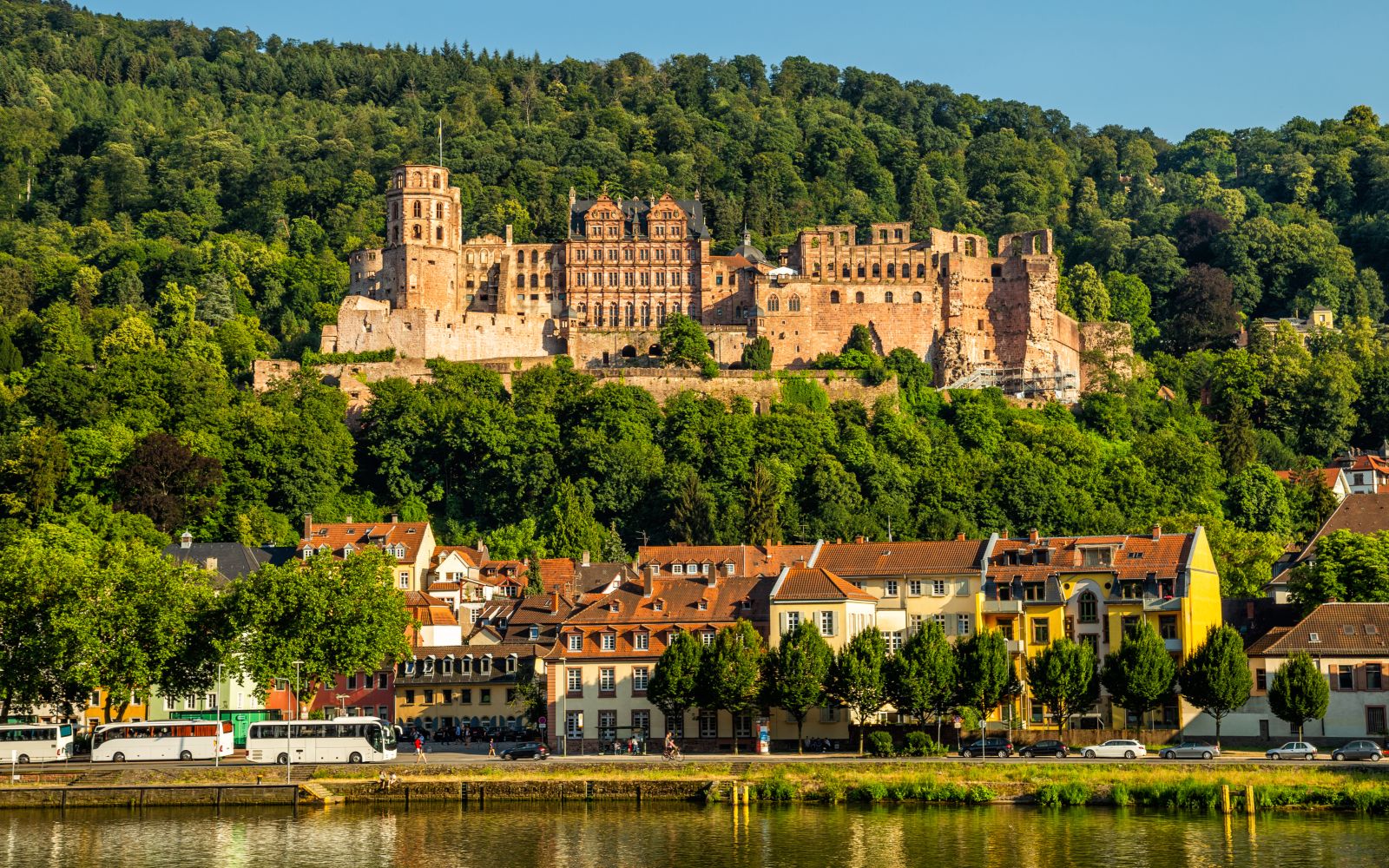 Schloss Heidelberg