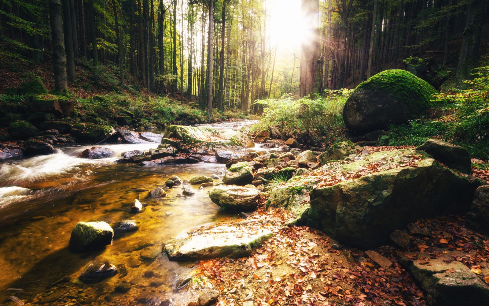 Herbstliches Ilsetal/Harz