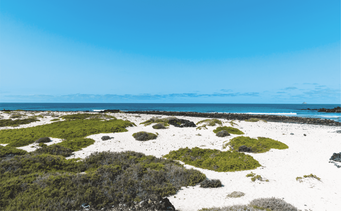 Playa Caléton Blanca, Lanzarote