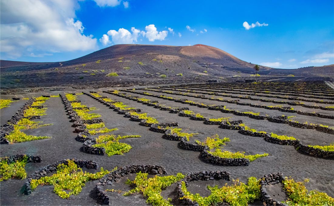 Weinanbaugebiet »La Geria« auf Lanzarote