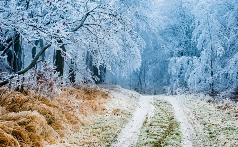 Winter Landschaft